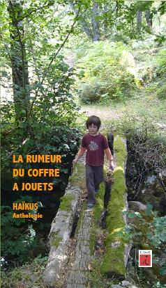 Rumeur-coffre-jouets