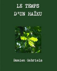 Le temps d'un haiku
